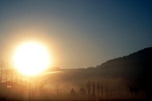 IMG_63278
