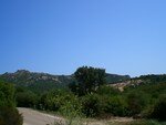 Bonifaccio_0807_02