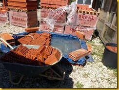 P1110362 P1110362