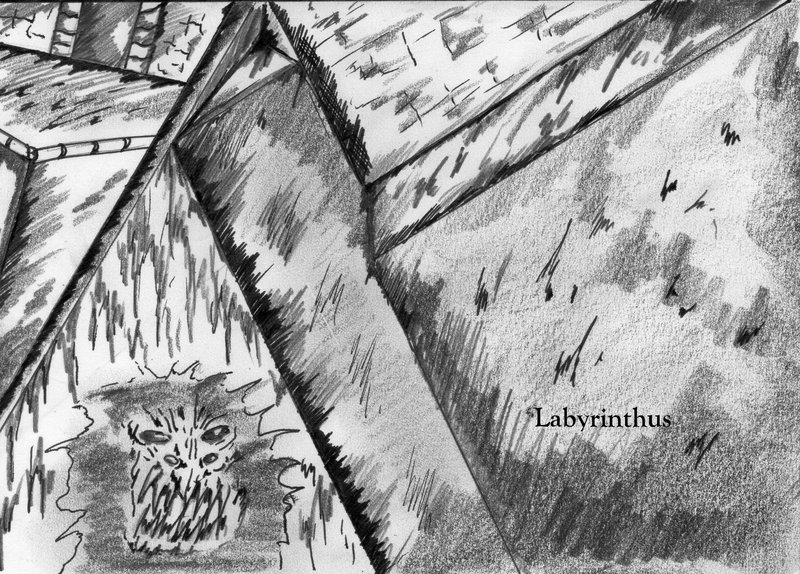 Labyrinthe image