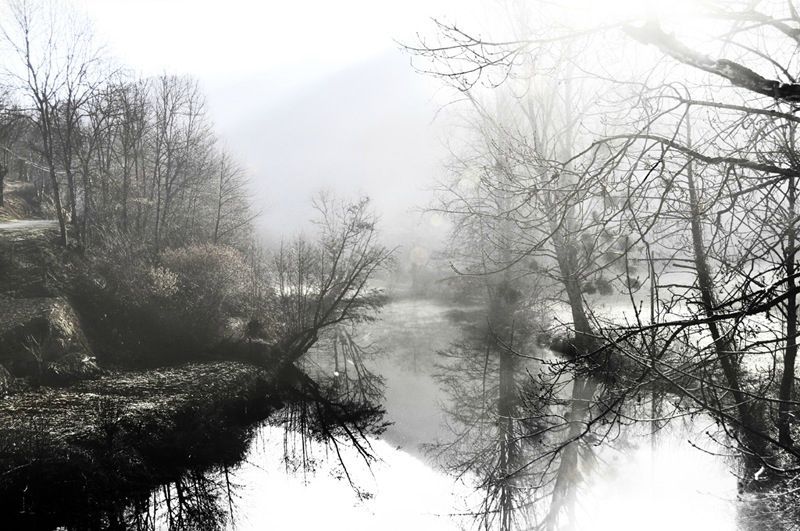 Dans la brume