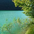 Lac de Chambly Jura