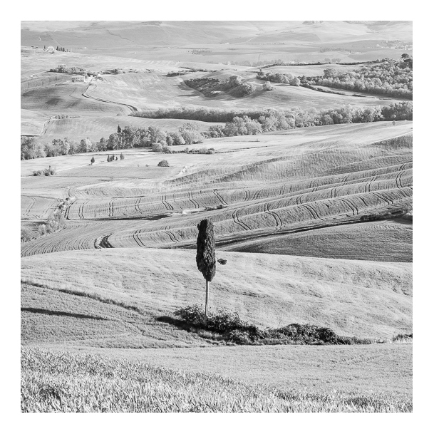 Val d'Orcia 24