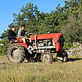 Photos JMP©Koufra12 - Cornus Rando Tracteurs - 15082018 - 257