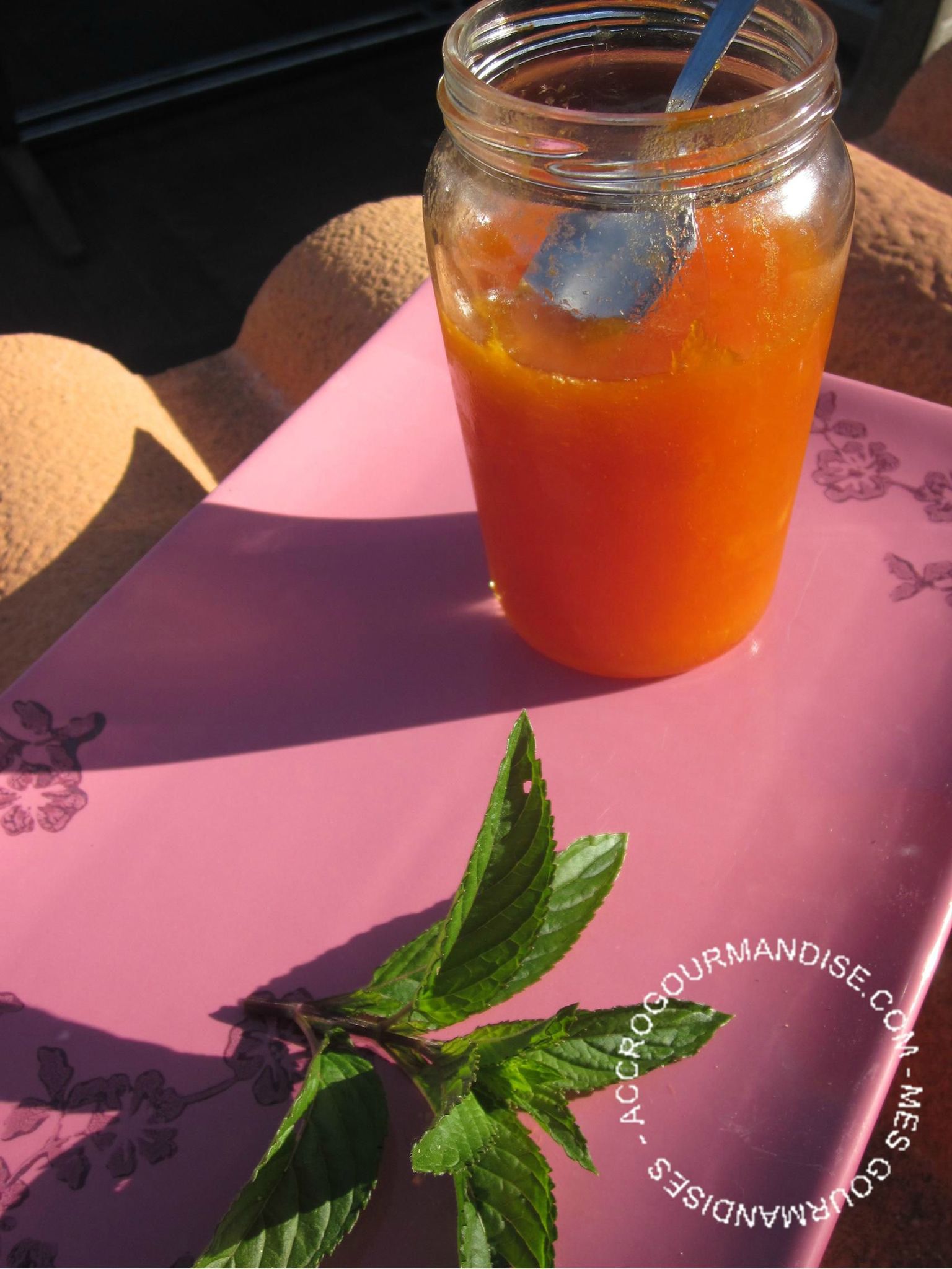 Confiture d'Abricot n°2 Infusion Menthe Accrogourmandise