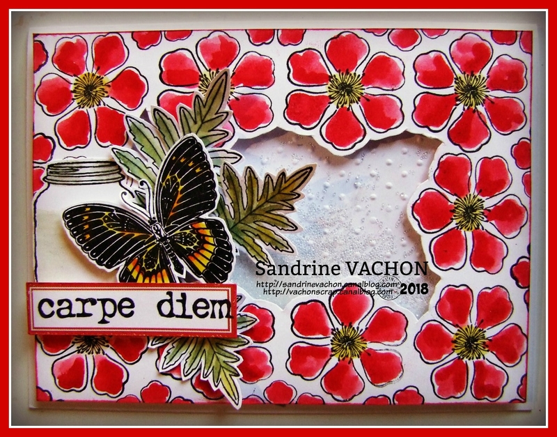 Sandrine VACHON défi 527 mars (1)