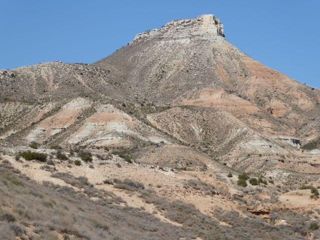 a53