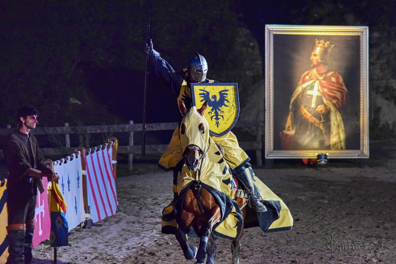 Les premiers Seigneurs du château de Talmont (8)