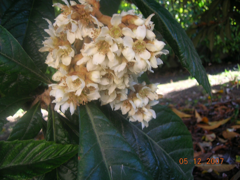 DSCN1690