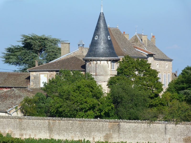 P1100367