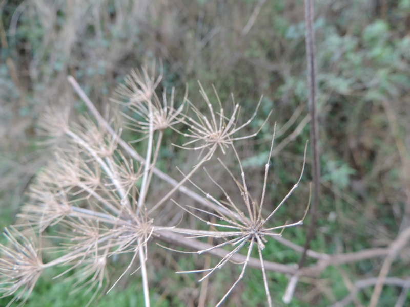 DSCN8354