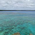 DSC04339
