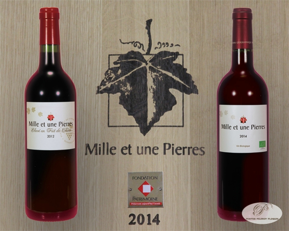 MILLE_ET_UNE_PIERRES_vins_rouges_vignerons_de_Branceille_19