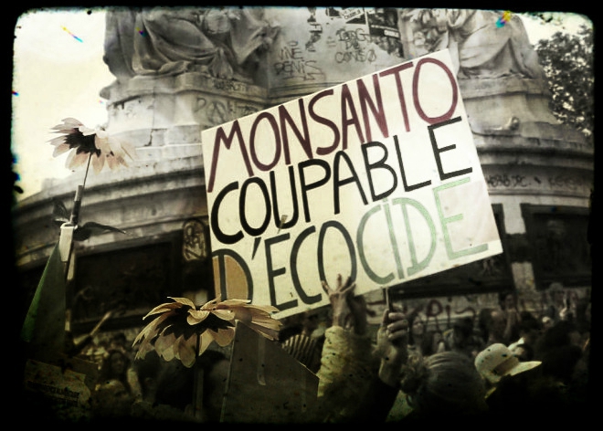 Bayer/Monsanto : Des Pesticides Aux OGM, La Fusion De Tous Les Dangers ...