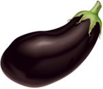 aubergine