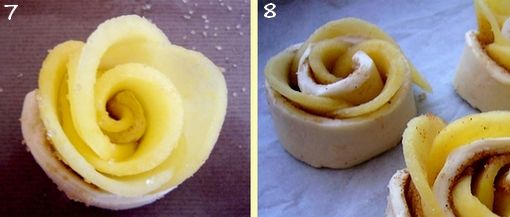 rose_4