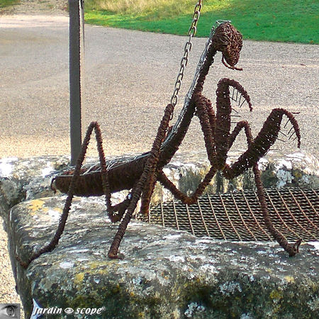 Mantis metalicus au Château de Valmer