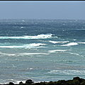 FASCINANT__ULMETU___GRAND_SUD___ISULA__CRIS_