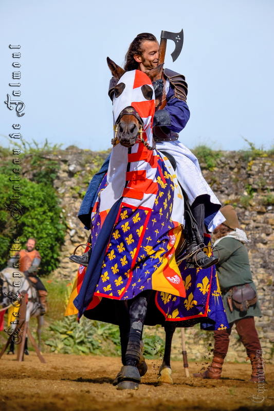 L’Ordre du Silence et de l’Epée - l’Ordre de chevalerie du royaume de Chypre des Lusignan (2)