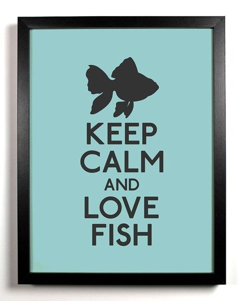 Keep-Calm-Fish-Poster-10-12-11
