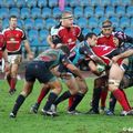 DSC_1020C