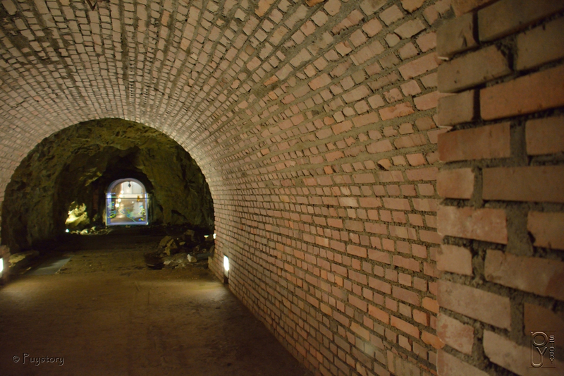 PUY_4318