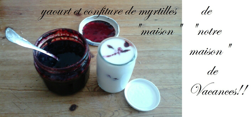 yaourt et myrtilles