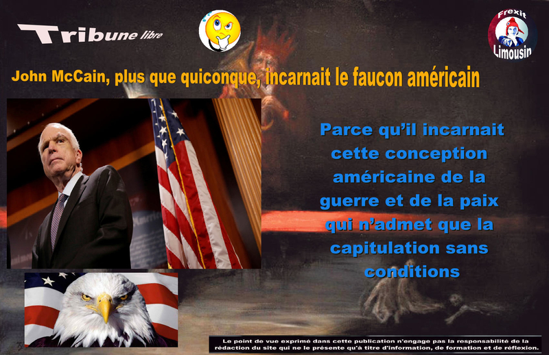 TL MC CAIN FAUCON