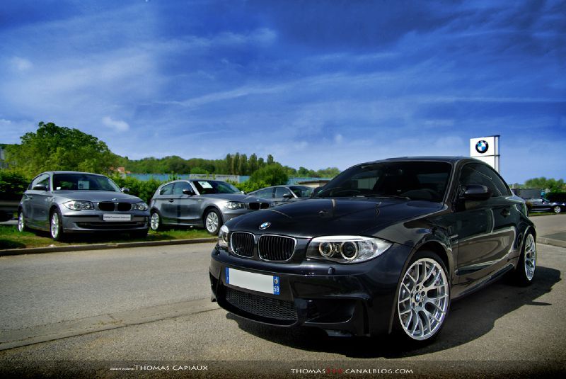 IMGP4337d