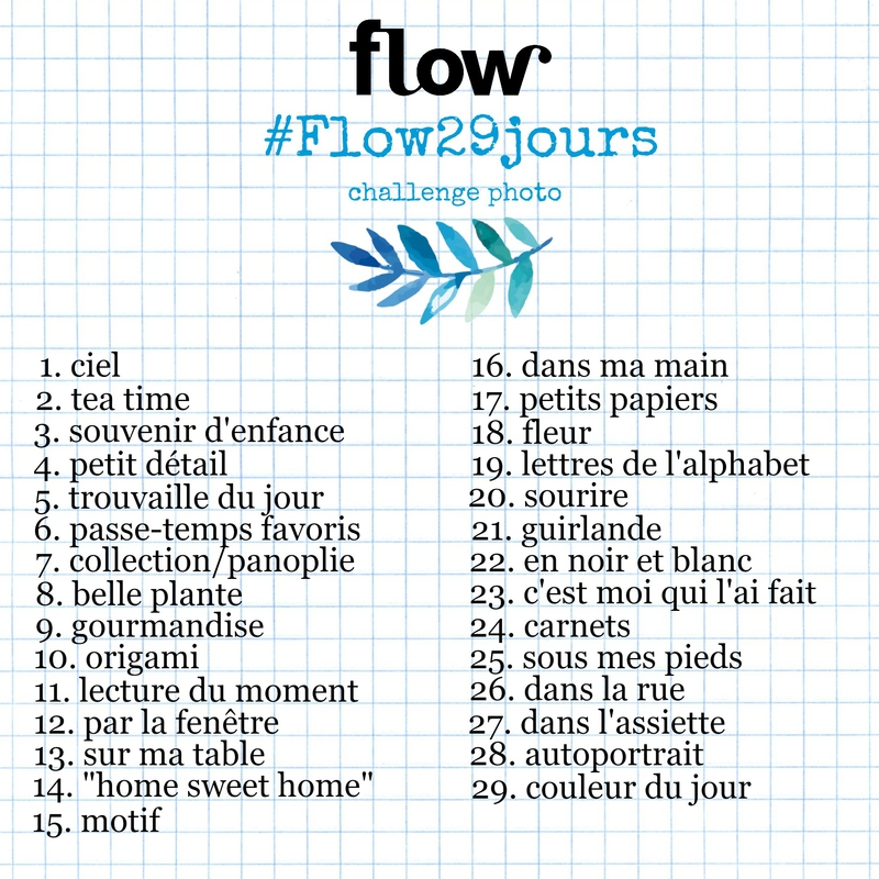 flow-29-jours-challenge-photo