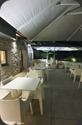 Coq-aux-champs-66