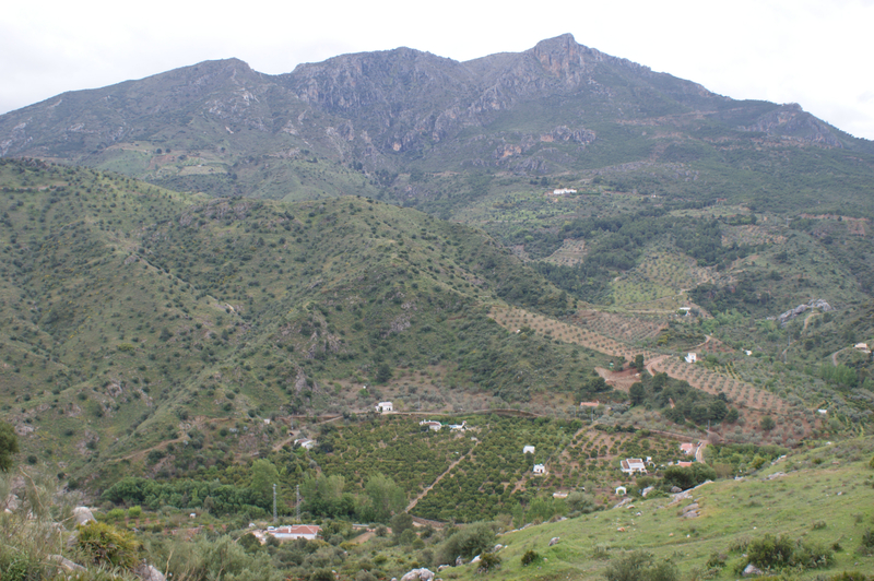DSC06385