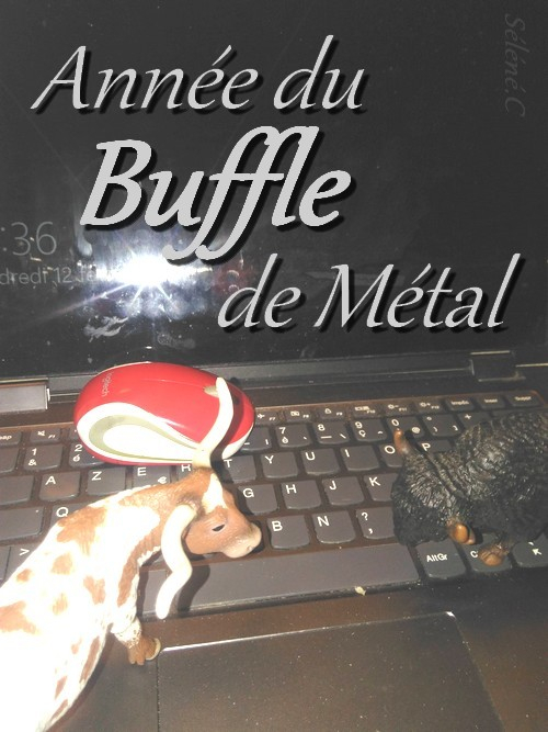annee-du-Buffle-2