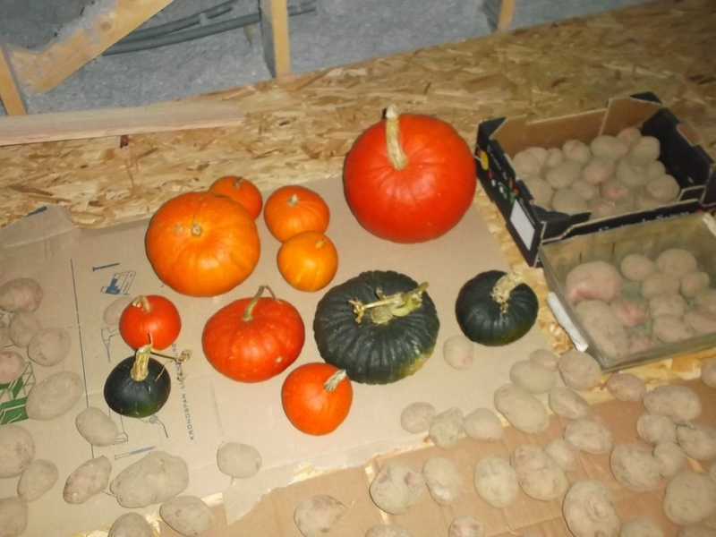 DSCF1457