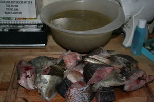 5_poissons
