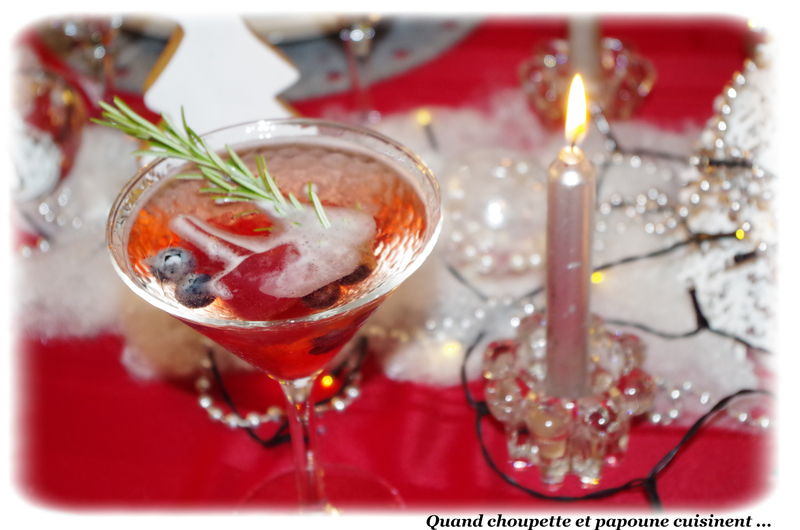 cocktail pétillant cranberries et limoncello-7783