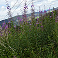 _DSC0120