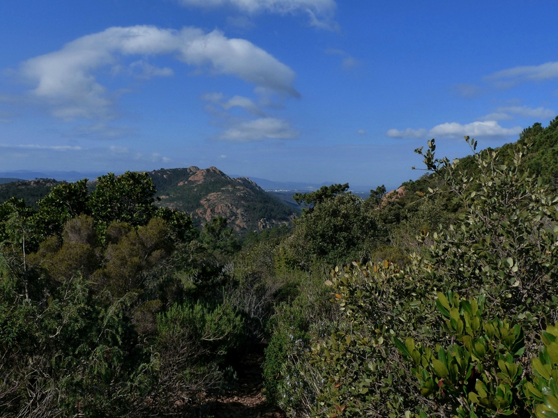 P1180056