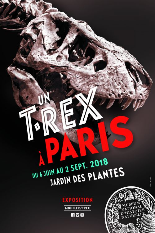 Un T-rex à Paris affiche