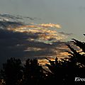 DSC08274