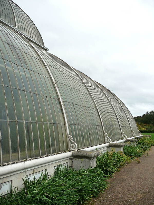 Palm House à Kew