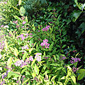 20190622_121526