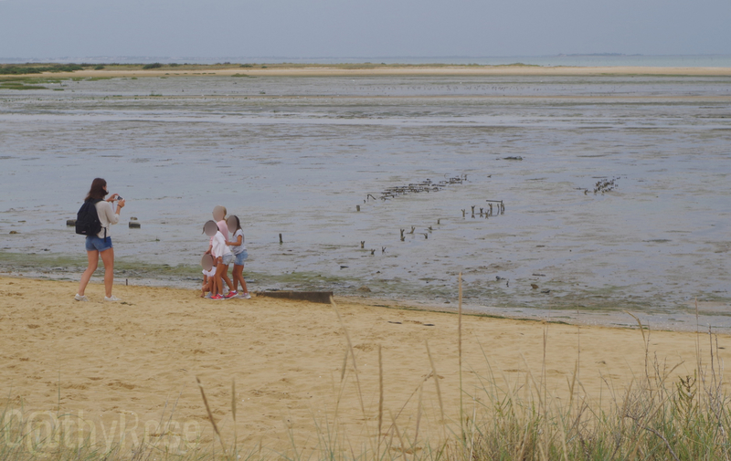 && plage Fort Royer (6)