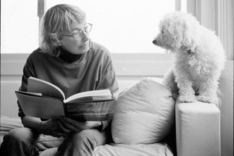 hr mary oliver