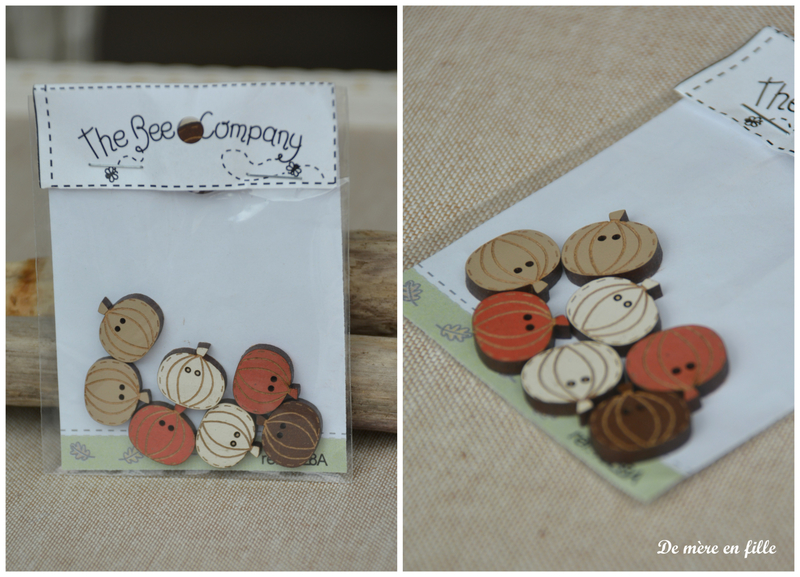 mini citrouilles TBE8A