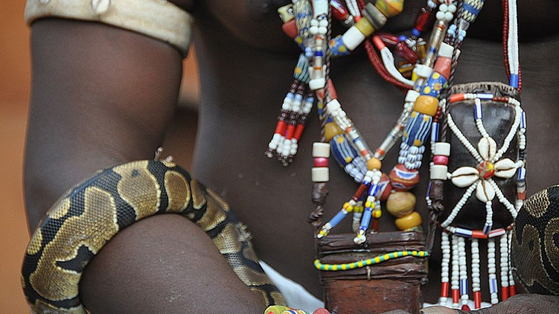 benin_860