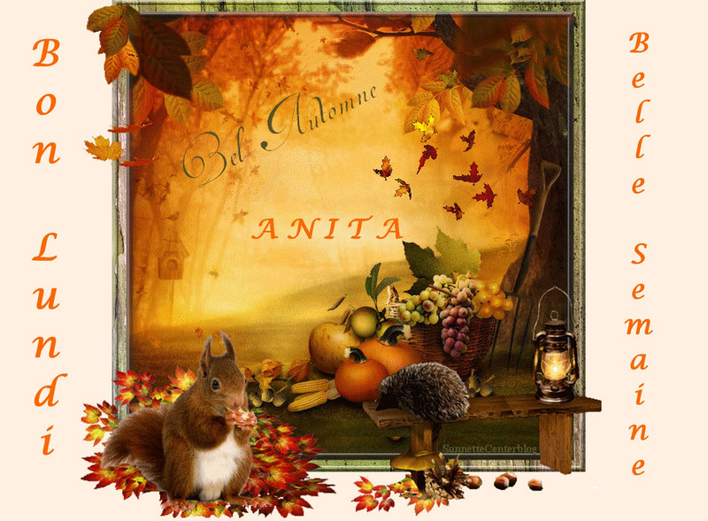 semaine 25 oct