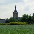 _IGP0773