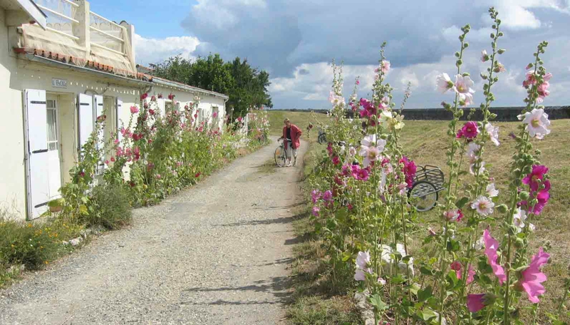 ile-aix-roses-tremieres