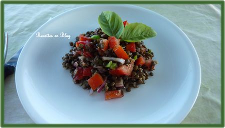 salade_de_lentilles_aux_oignons_rouges1
